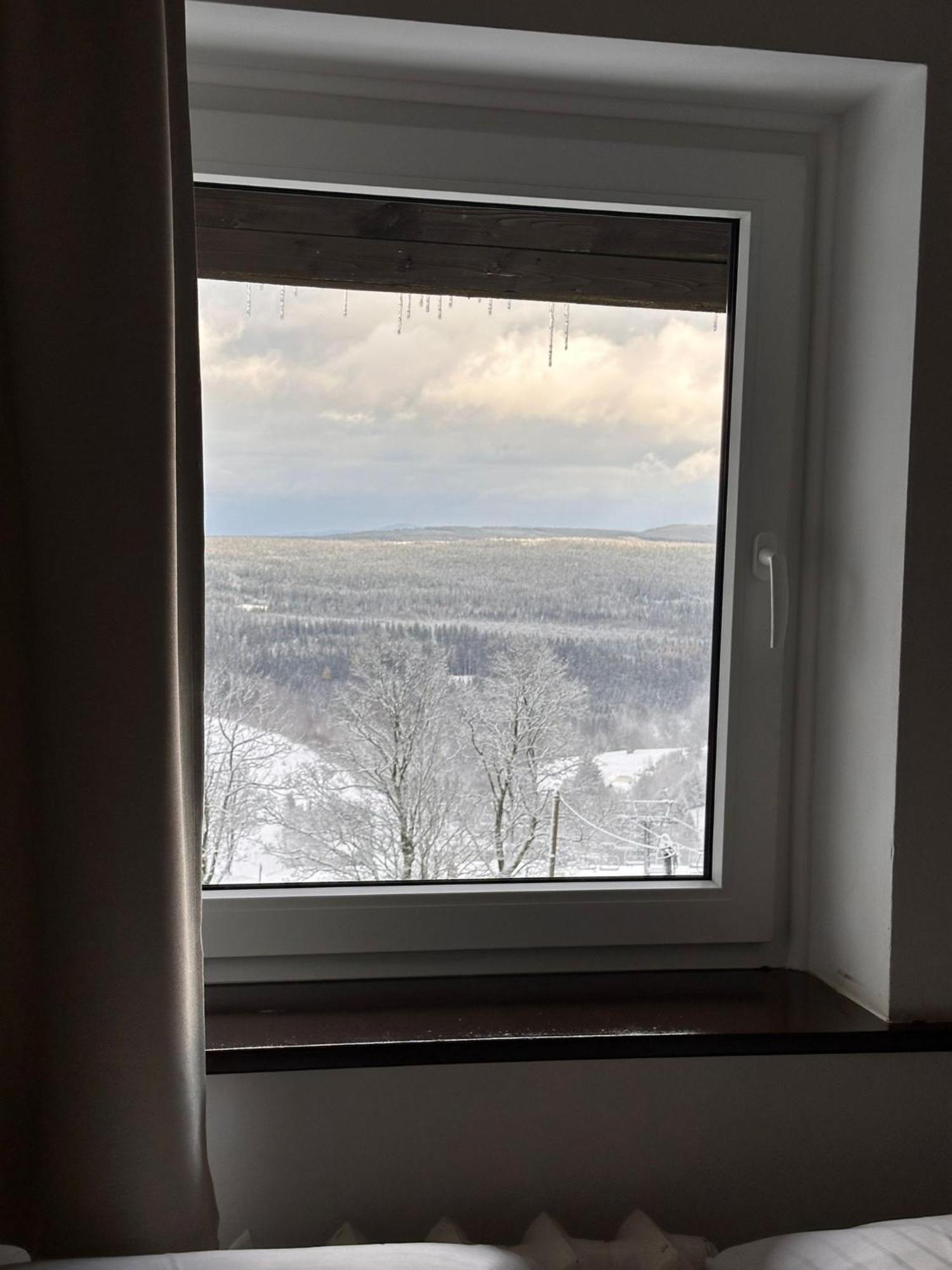 Straszny Dwor Hotel Duszniki Zdrój Værelse billede